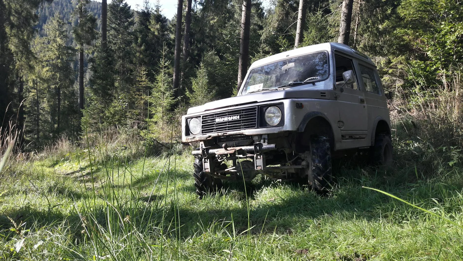 Suzuki Jimny terenowy zaparkowany w zielonym lesie