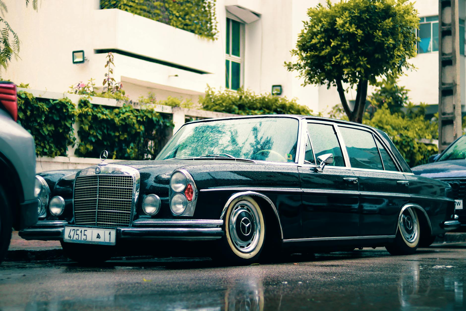 Zabytkowy Mercedes na mokrej ulicy w Tangerze otoczonej zielenią